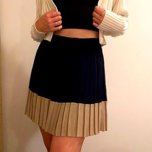 Pleated Skirt